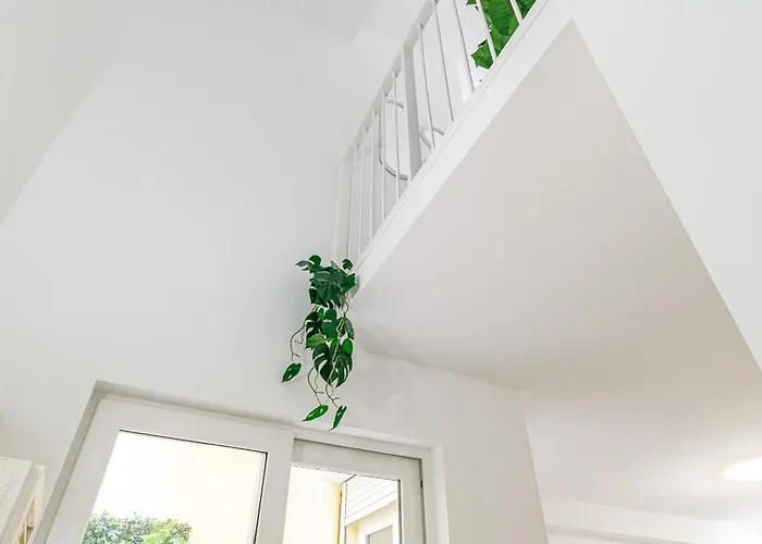 1 Bdr Duplex Downtown - Ac *